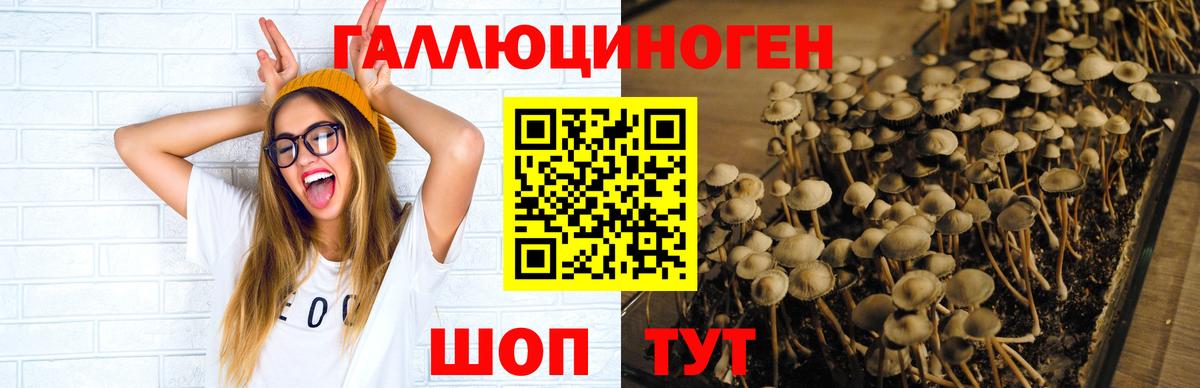 Псилоцибиновые грибы мицелий  Вход с VPN  Наро-Фоминск  Псилоцибиновые грибы Cubensis 